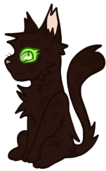 COTM Feb 2026 by Mutt