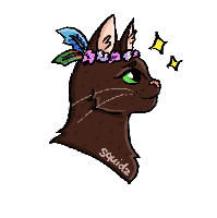 Leader Feathers! by me