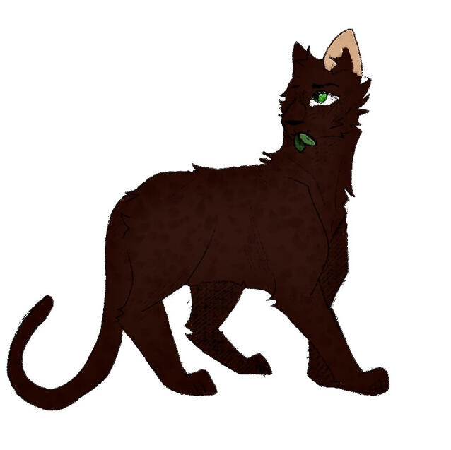 COTM May 2025 by Aries / Fade